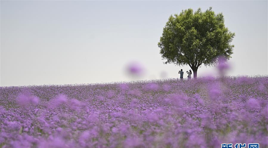 膠東半島旅游攻略_膠東半島好玩嗎_膠東半島游記
