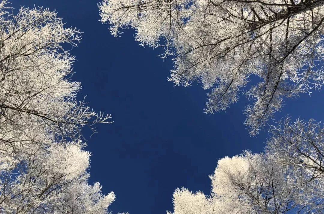 尼斯旅游景點(diǎn)攻略_尼斯 旅游攻略_法國(guó)尼斯旅游巴士租賃