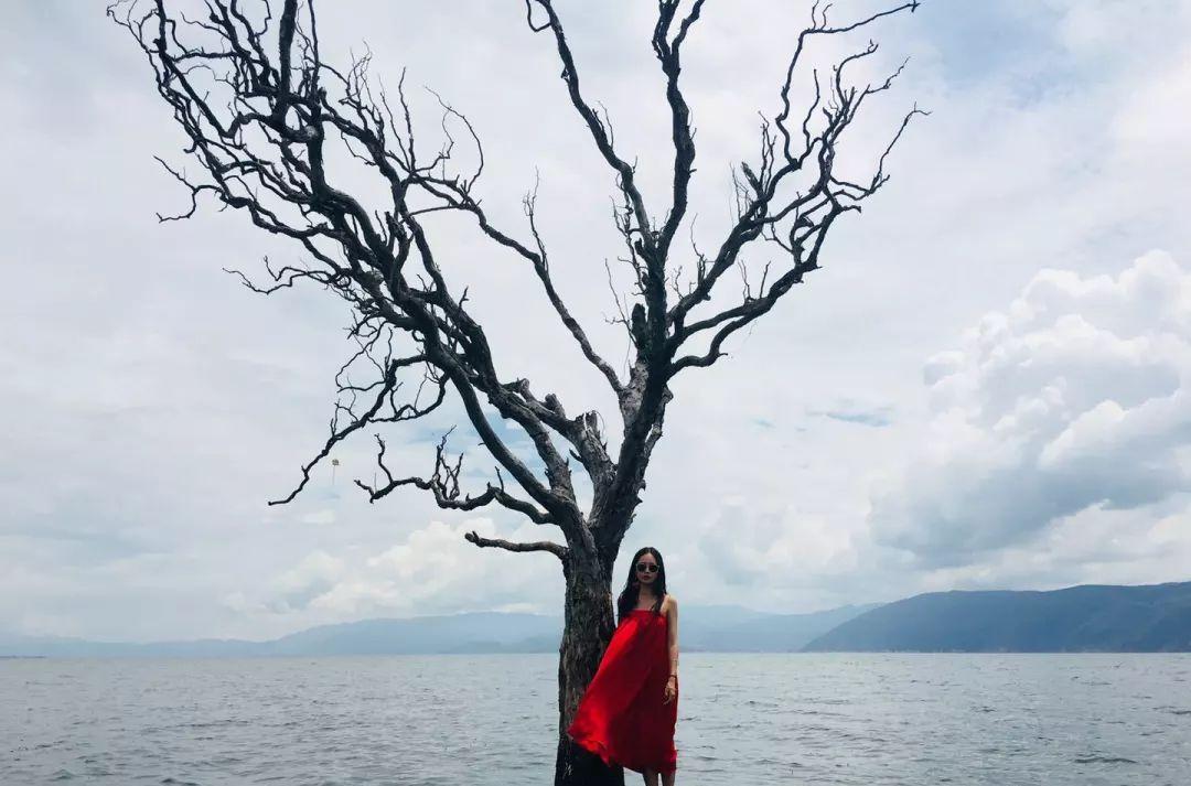 尼斯 旅游攻略_尼斯旅游景點(diǎn)攻略_法國(guó)尼斯旅游巴士租賃