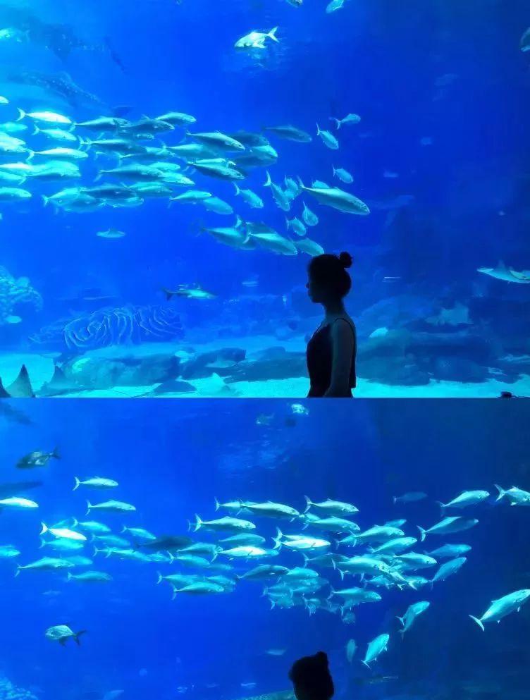 法國(guó)尼斯旅游巴士租賃_尼斯旅游景點(diǎn)攻略_尼斯 旅游攻略