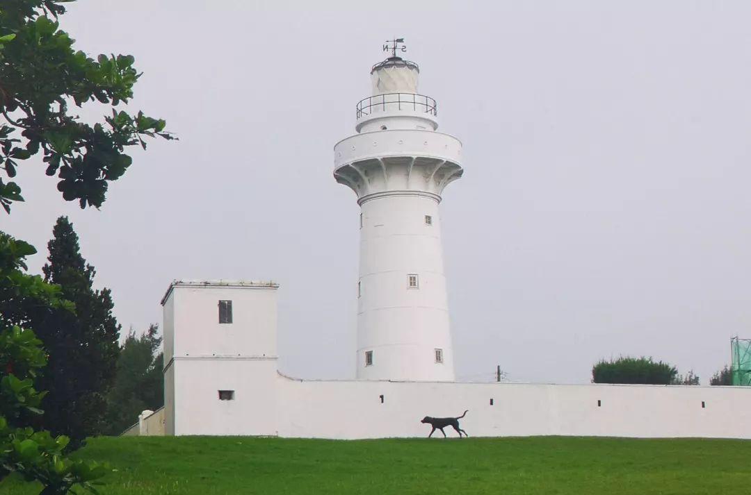 法國(guó)尼斯旅游巴士租賃_尼斯 旅游攻略_尼斯旅游景點(diǎn)攻略