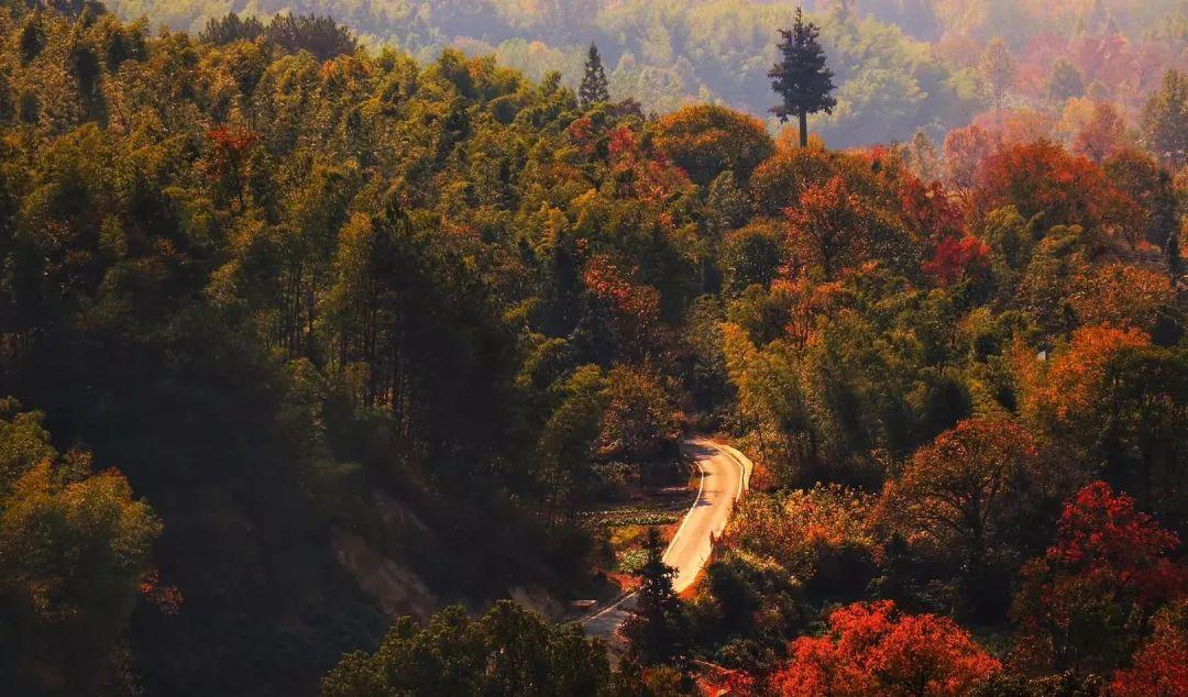 尼斯 旅游攻略_尼斯旅游景點(diǎn)攻略_法國(guó)尼斯旅游巴士租賃