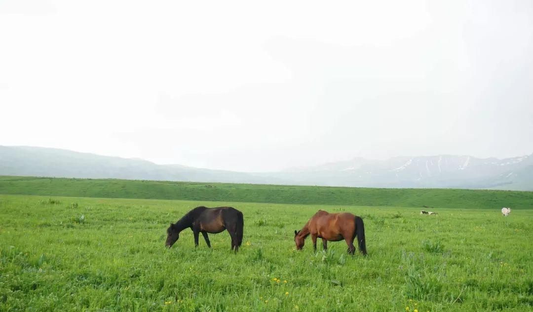 尼斯 旅游攻略_法國(guó)尼斯旅游巴士租賃_尼斯旅游景點(diǎn)攻略