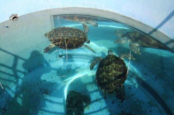 惠州灣在哪里_第一次去惠州去雙月灣還是寮灣_惠州雙月灣自駕游攻略