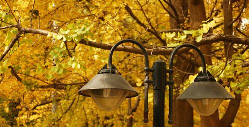 云南旅游吧_云南旅游攻略自由行最佳路線_云南旅游必去的景點