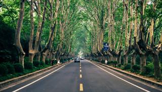 云南旅游吧_云南旅游必去的景點_云南旅游攻略自由行最佳路線