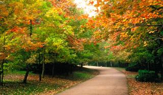 云南旅游吧_云南旅游攻略自由行最佳路線_云南旅游必去的景點