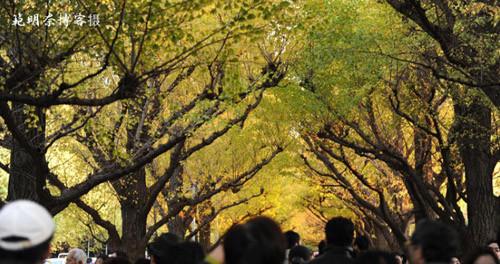 云南旅游攻略自由行最佳路線_云南旅游必去的景點_云南旅游吧