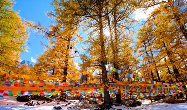 川渝周邊自駕游攻略_川渝自駕游_川渝自駕游最美線(xiàn)路圖