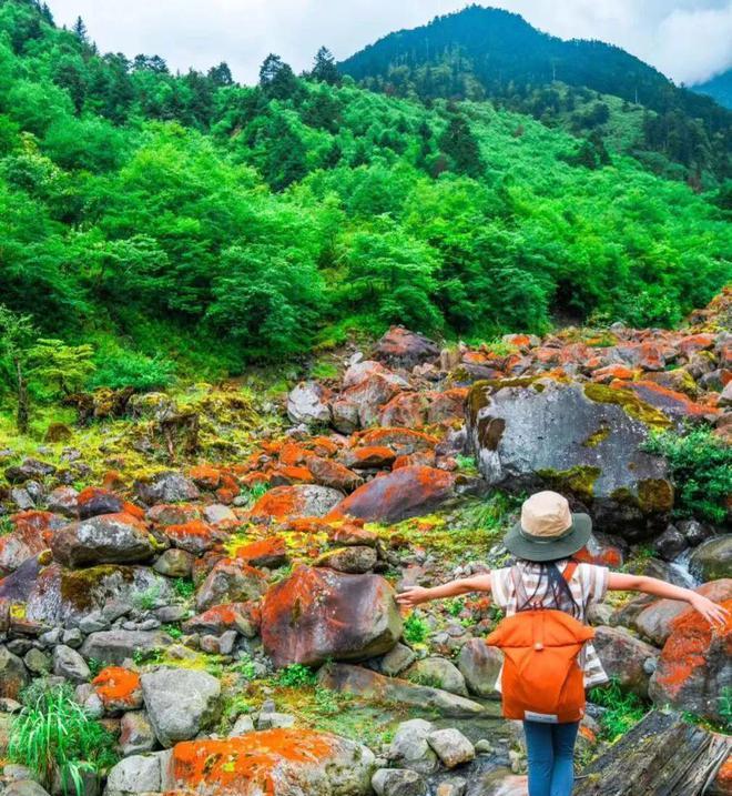 焦山好玩嗎_焦山自駕游_焦山攻略