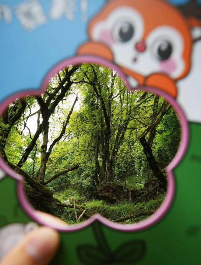 焦山自駕游_焦山好玩嗎_焦山攻略