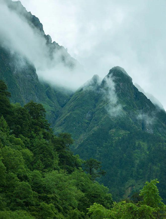 焦山攻略_焦山好玩嗎_焦山自駕游
