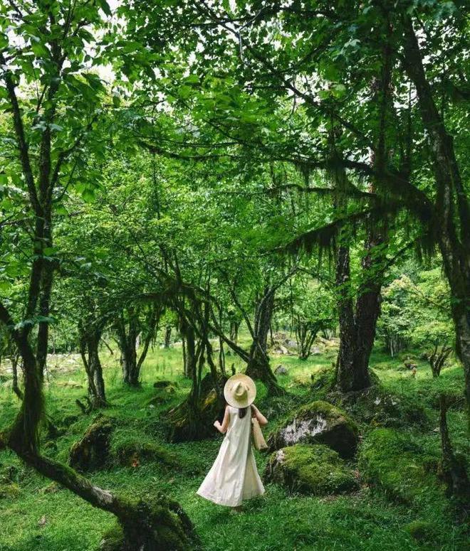 焦山自駕游_焦山好玩嗎_焦山攻略