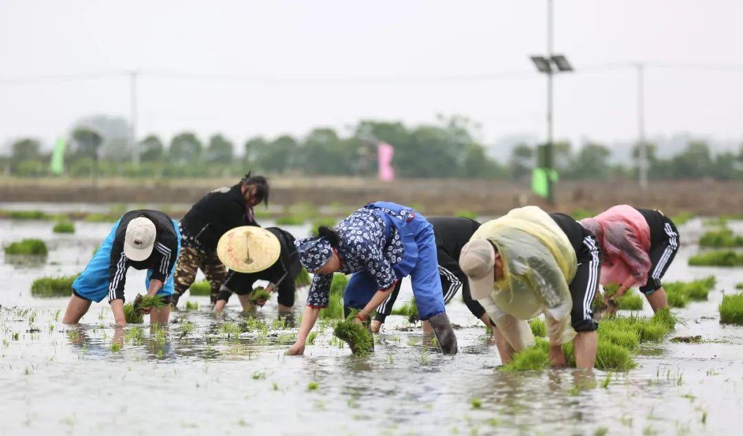 自駕俱樂部怎么賺錢_自駕俱樂部賺錢游戲有哪些_自駕游俱樂部如何賺錢