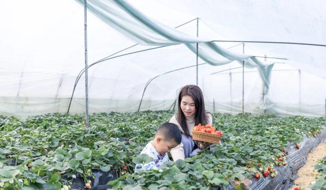 自駕俱樂部怎么賺錢_自駕游俱樂部如何賺錢_自駕俱樂部賺錢游戲有哪些