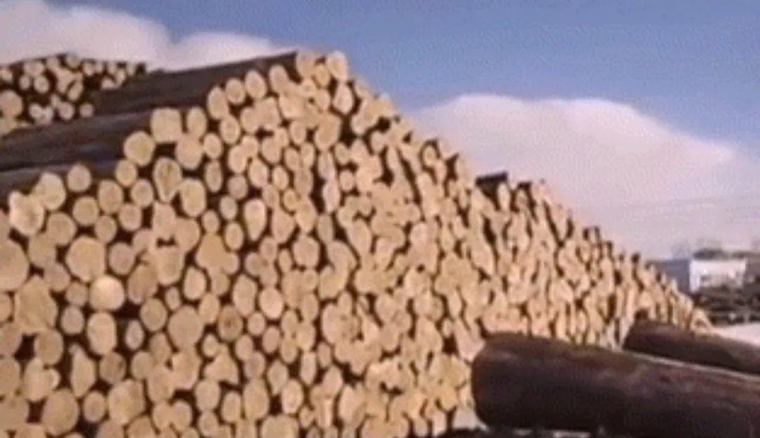 東方紅到虎林列車時(shí)刻_虎林到東方紅火車_東方紅至虎林火車時(shí)刻表