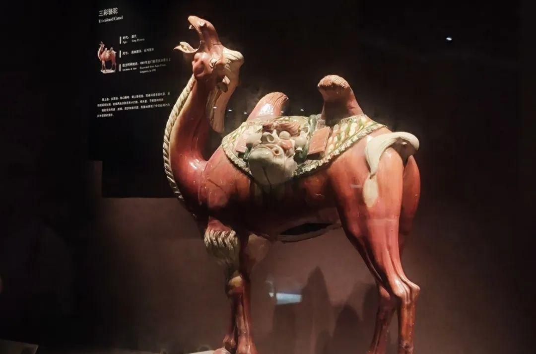 洛陽有幾個火車站_洛陽火車站有沒有_火車洛陽站有售貨庭嗎