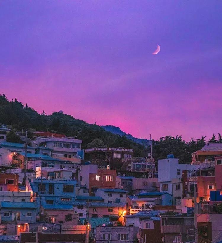 上火車能帶寵物狗嗎_狗能不能帶上火車_上火車讓帶狗狗嗎