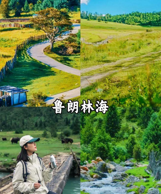 山東到西藏自駕游_從山東自駕去西藏得多少錢_從山東自駕游到西藏