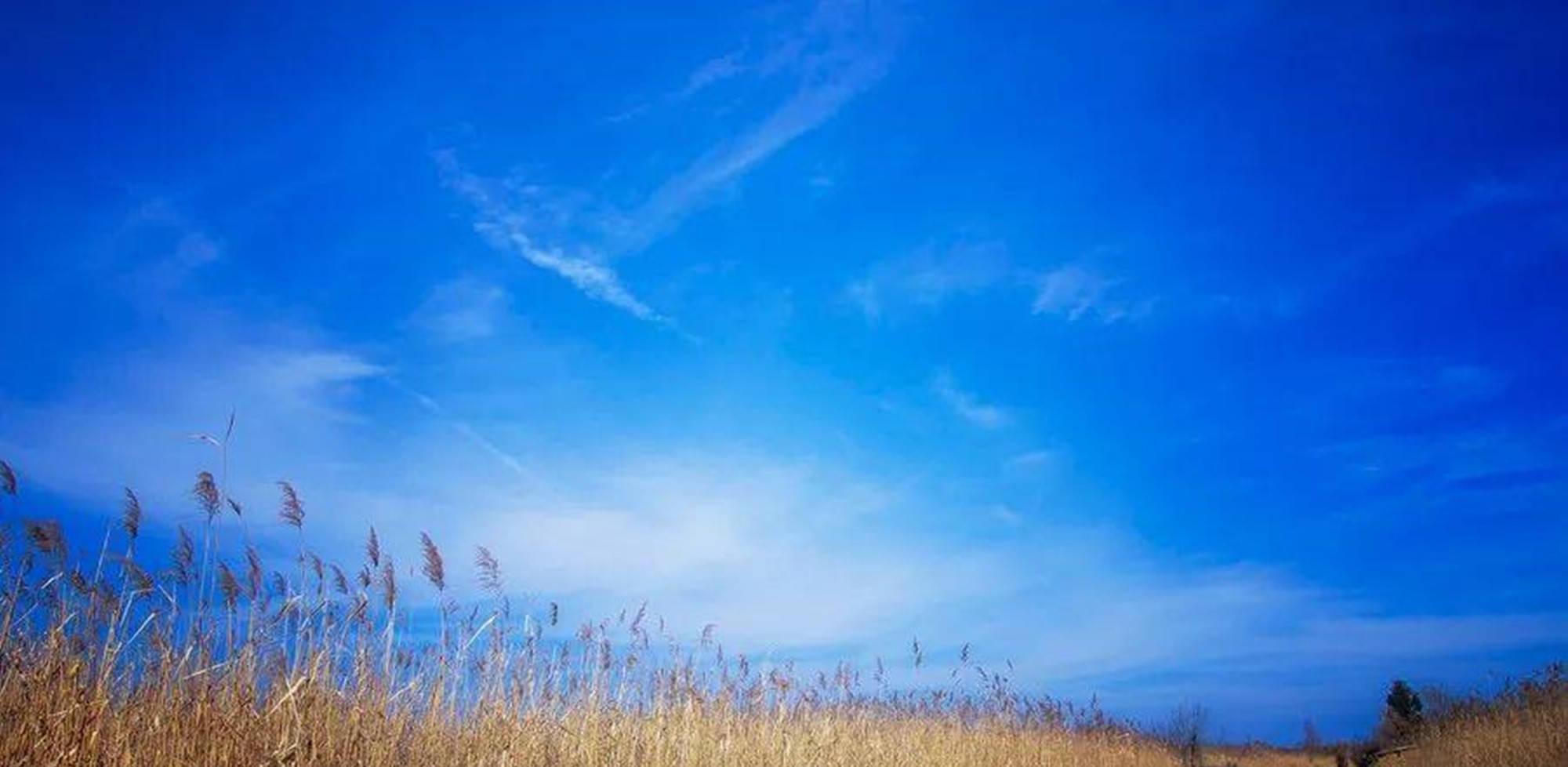 萊陽到北京火車票_萊陽到北京火車_萊陽到北京火車票查詢時刻表