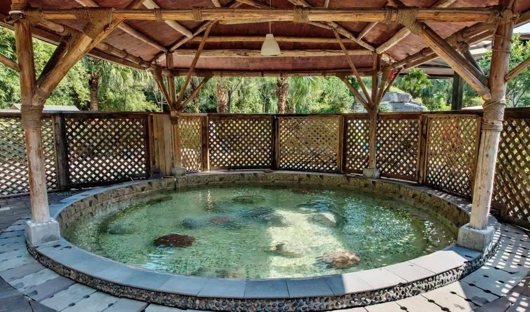 川內2天自駕自然風景_3天川內自駕游_川內自駕游路線