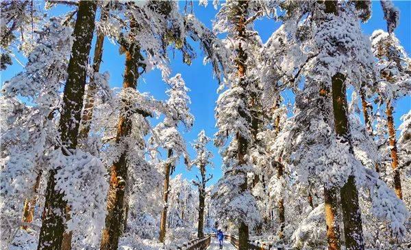 川內2天自駕自然風景_3天川內自駕游_川內自駕游路線