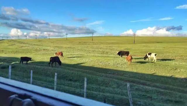 火車(chē)票軟臥是幾個(gè)人_火車(chē)軟臥幾個(gè)人_火車(chē)軟臥個(gè)人可以坐嗎
