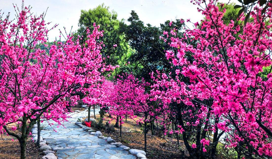 武寧旅游網_武寧旅游景點大全圖片_武寧旅游