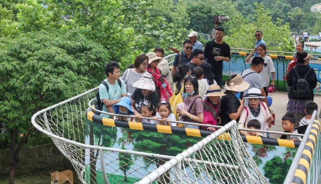榮成住宿攻略_榮成旅游住宿_榮成旅館住宿價格