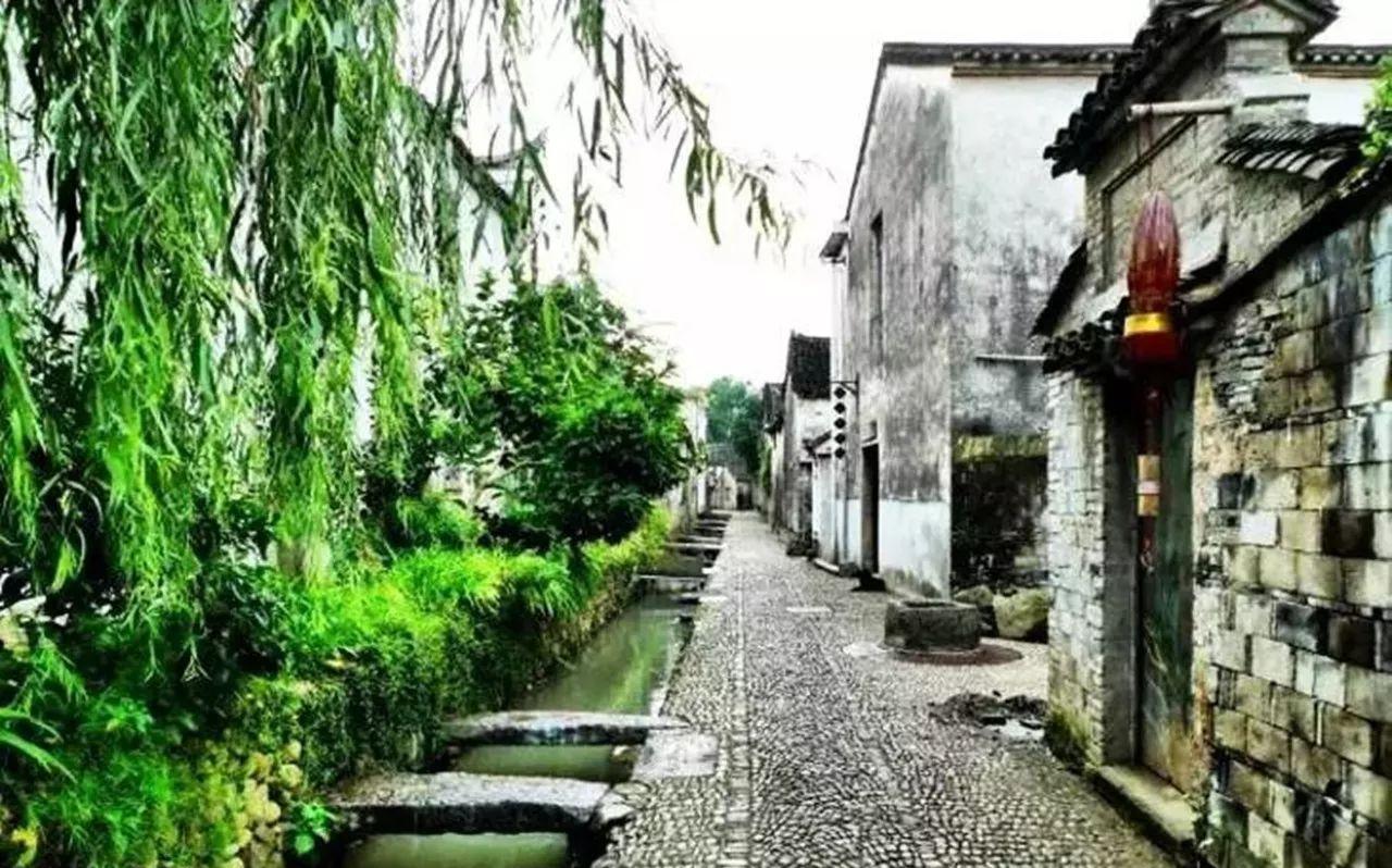 行者旅游衛視圖片_行者旅游_行者旅游衛視