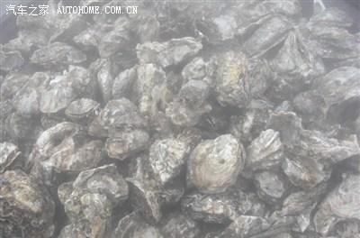 榮成自駕游玩攻略_榮成自駕游旅游景點大全_榮成自駕游