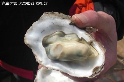 榮成自駕游玩攻略_榮成自駕游_榮成自駕游旅游景點大全