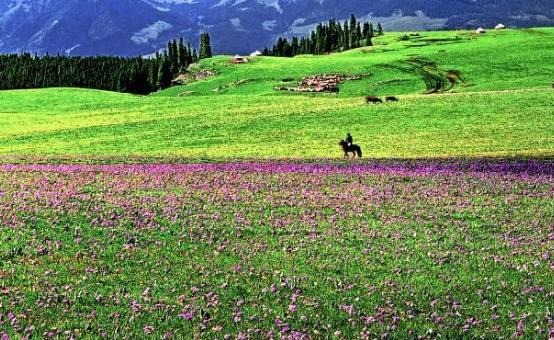 行者旅游_行者旅游節目_行者旅游紀錄片