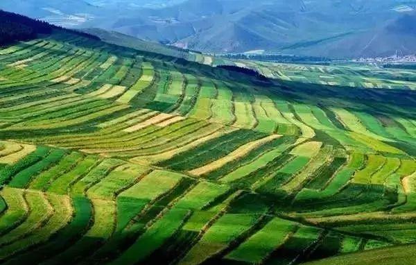 行者旅游紀錄片_行者旅游_行者旅游節目