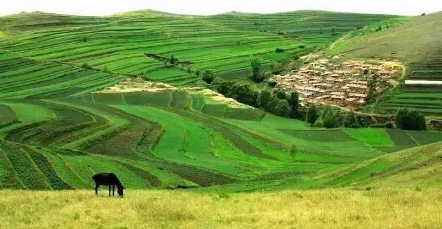 行者旅游節目_行者旅游_行者旅游紀錄片
