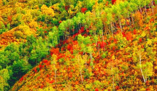 行者旅游紀錄片_行者旅游節目_行者旅游