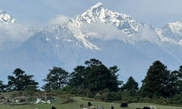 濰坊自駕蘇州游到哪里好玩_濰坊到蘇州自駕游費用_濰坊到蘇州自駕游