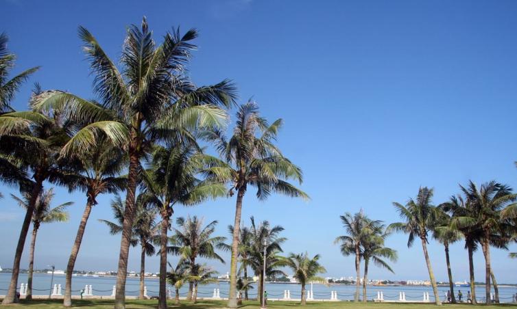 廣東湛江自駕游_自駕游湛江攻略_2021年春節(jié)湛江自駕游