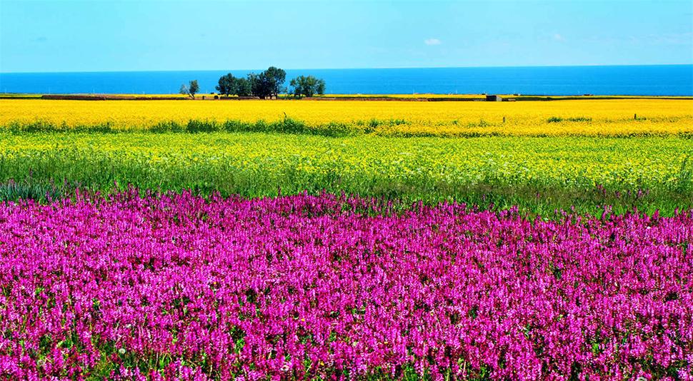 漢中到西寧自駕游_西寧至漢中自駕游攻略_自駕漢中西寧游到北京路線