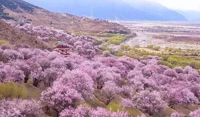 從云南到拉薩的自駕游_云南自駕去拉薩_拉薩至云南旅游