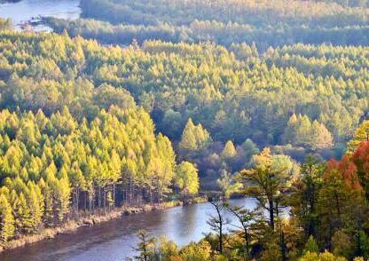 大楊樹到加格達奇火車_加格達奇到大楊樹有幾趟火車_加格達奇大楊樹列車時刻表
