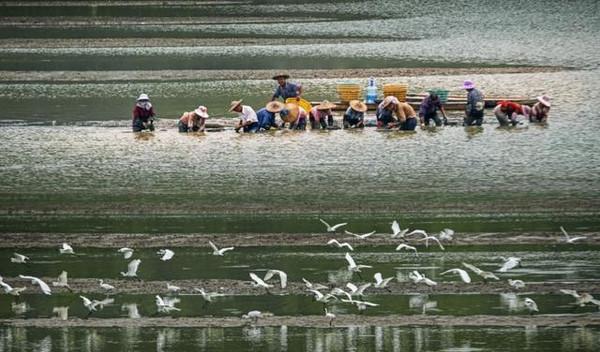 福州自駕游十大排行榜_福州自駕游最佳路線圖_自駕游福州