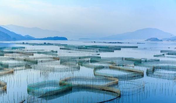 自駕游福州_福州自駕游最佳路線圖_福州自駕游十大排行榜