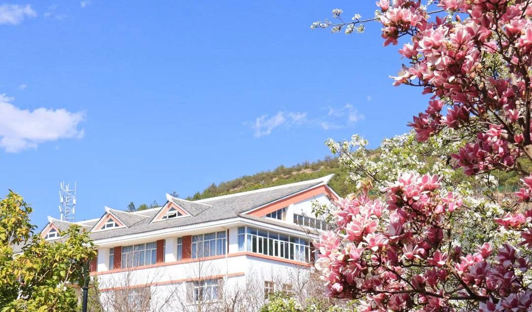 云南大學旅游文化學院_云南大學文化旅游學院什么瓜_云南旅游學院文化學院
