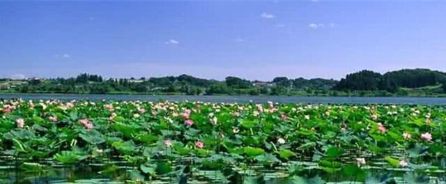 泰安旅游景點排名前十視頻_泰安旅游景點大全_泰安景區景點