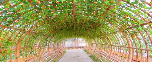 泰安旅游景點排名前十視頻_泰安景區景點_泰安旅游景點大全