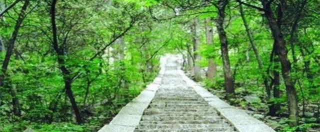 泰安旅游景點排名前十視頻_泰安景區景點_泰安旅游景點大全