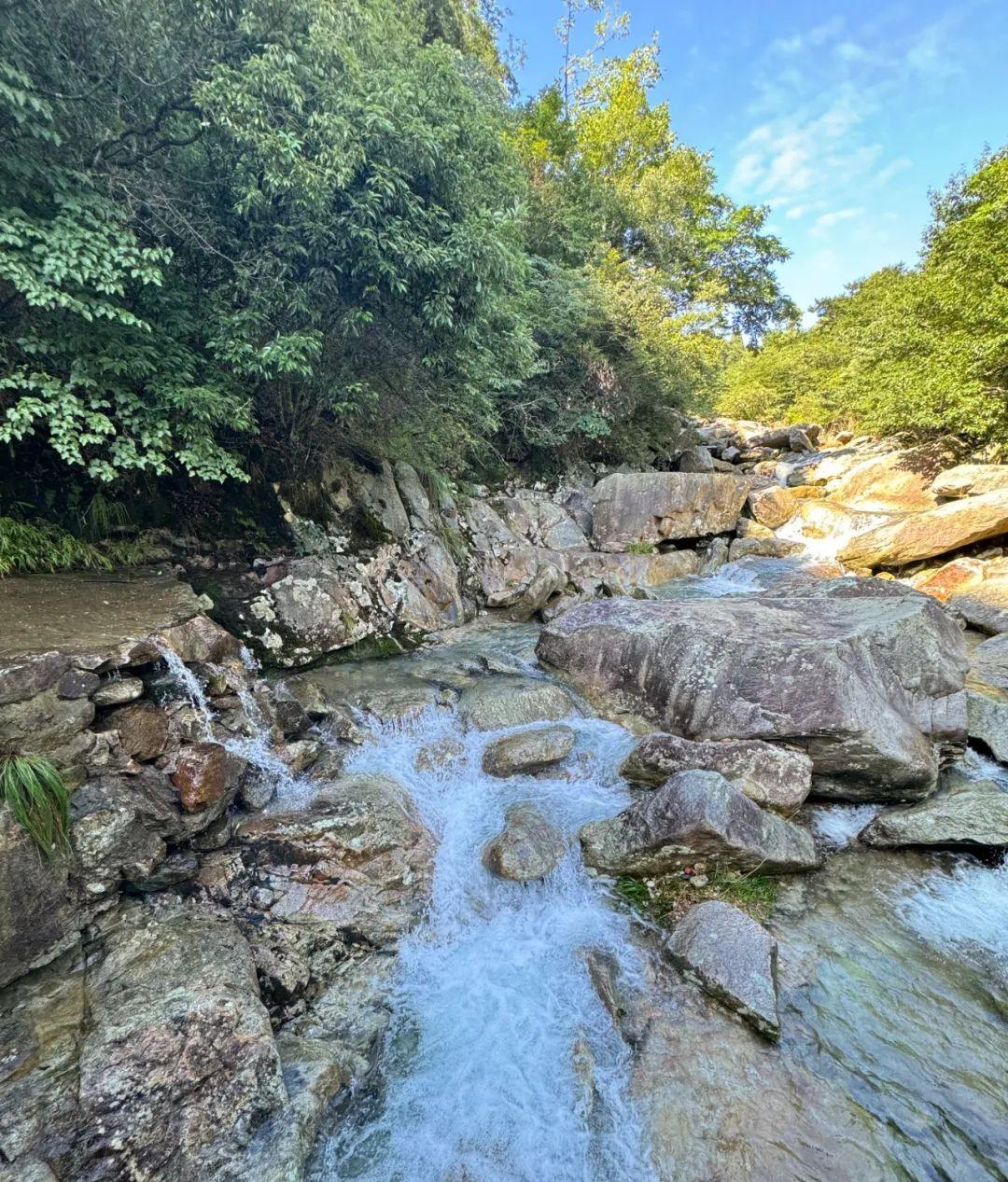 到廬山旅游多少錢_到廬山旅游攻略_去廬山玩一趟要多少錢