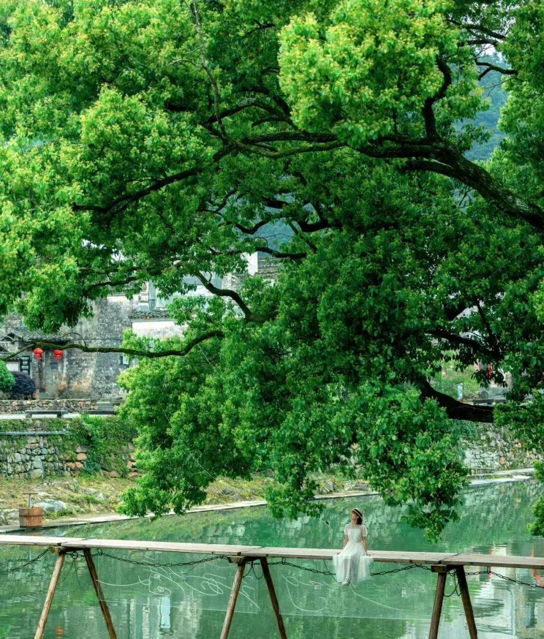 到廬山風(fēng)景區(qū)_到廬山旅游多少錢_去廬山玩一趟要多少錢