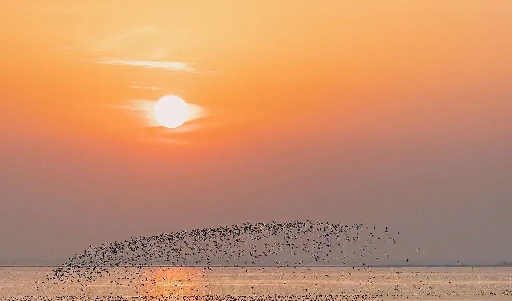 到廬山旅游多少錢_到廬山風(fēng)景區(qū)_去廬山玩一趟要多少錢